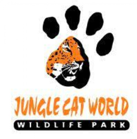 Jungle Cat World