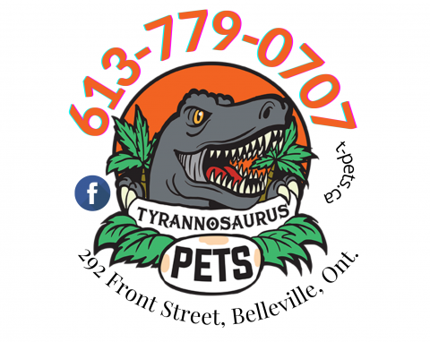 Tyrannosuaurs pets at iBusiness Directory Canada