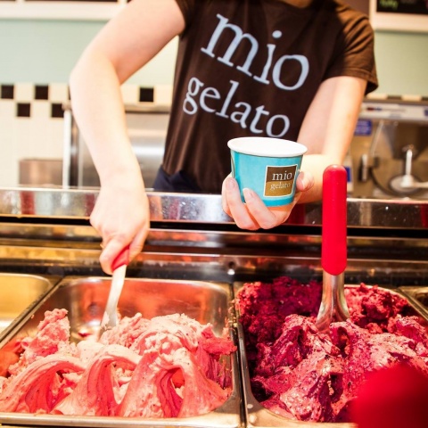 Mio Gelato