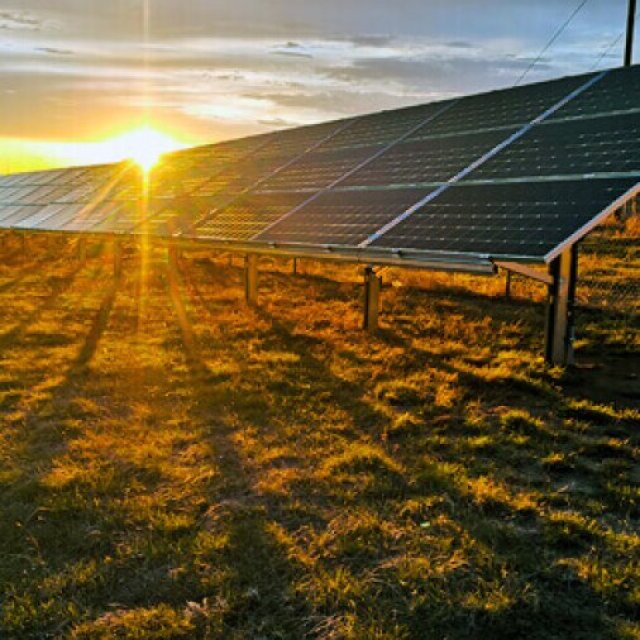 Dandelion Renewables