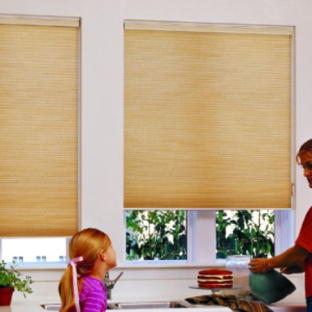Automated Shades Concord