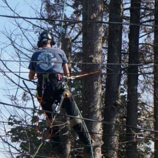 Heritage Tree Service