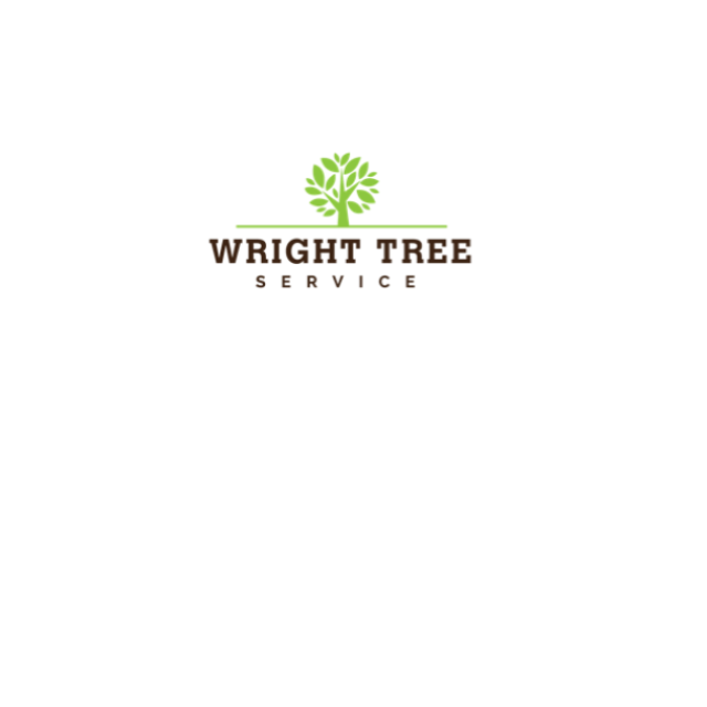 Wright Tree Service at iBusiness Directory Canada