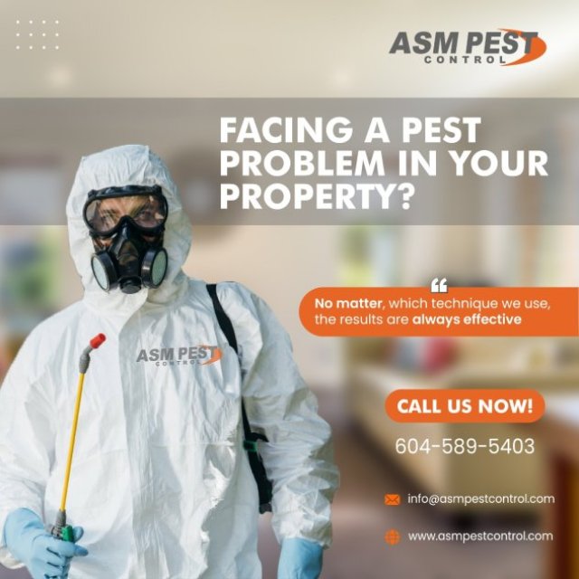 ASM Pest Control at iBusiness Directory Canada