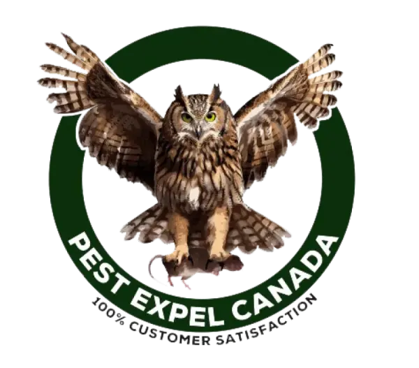 Pest Control Woodbridge Canada