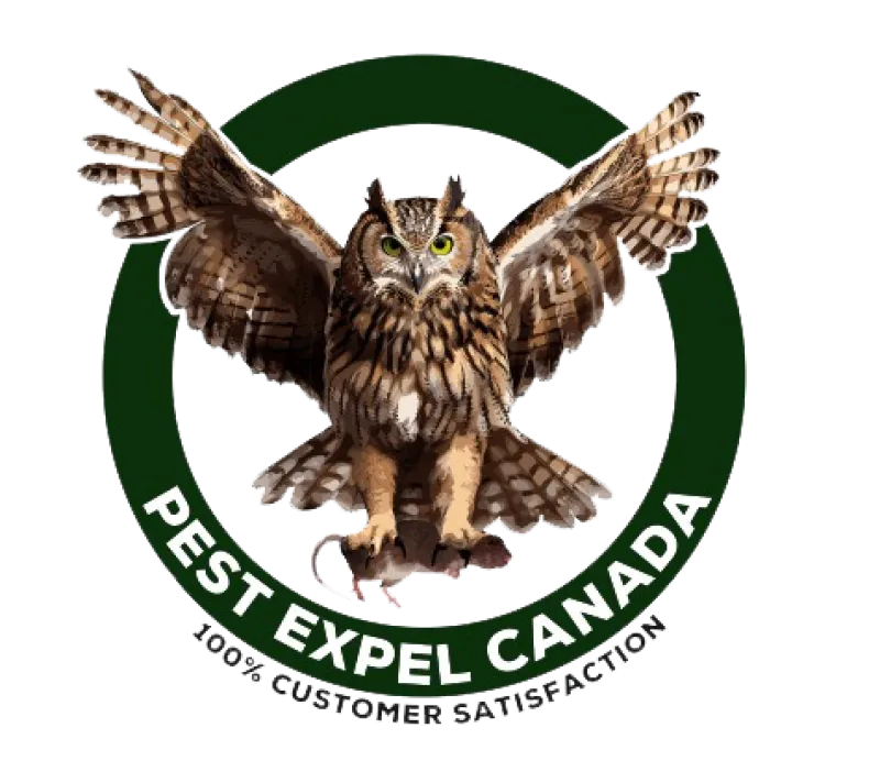 Top Pest Control