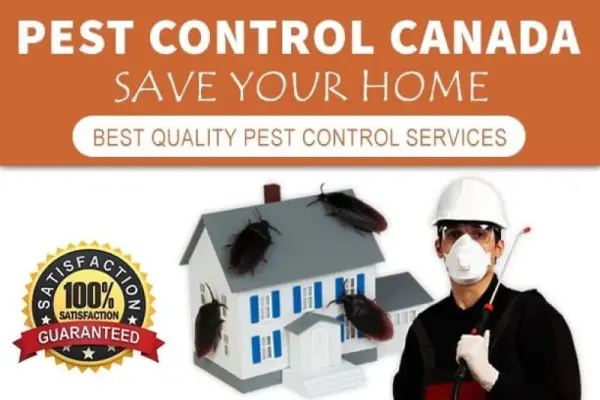 Pest Control Woodbridge Canada