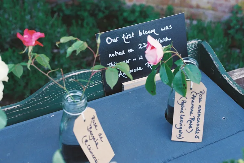 Garden Desks: How Rose DesRochers Is Redefining Home & Garden Living