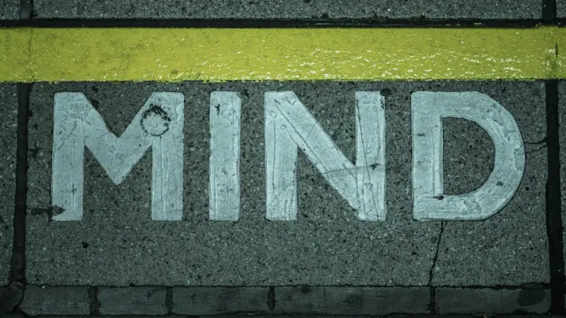 Structured Daydreaming: Turning Mental Wandering into a Resilience Tool