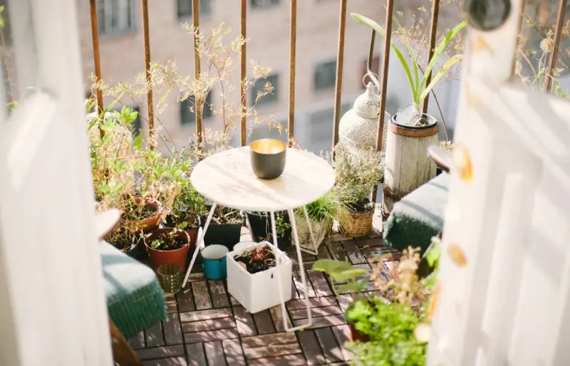 Balcony to Bee‑Friendly Oasis: A DIY Guide for City Dwellers