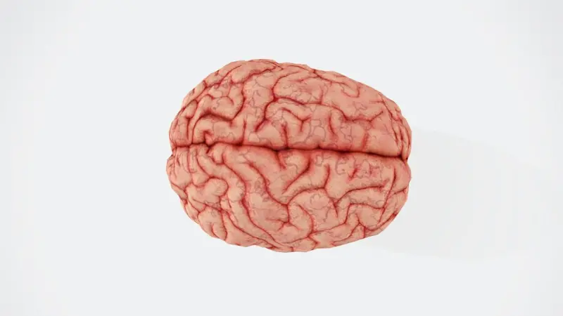 The Power of Unscripted Moments for Brain Health