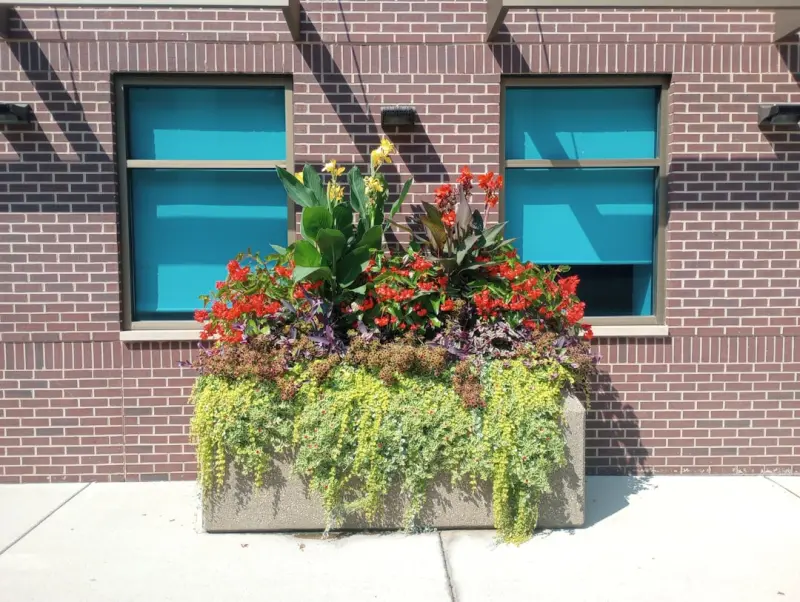 Seasonal Front‑Yard Makeover: Plant Boxes, Solar Light & Instagram‑Ready Backdrops