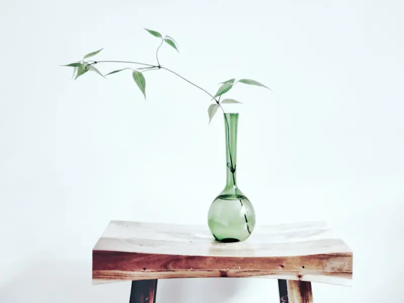 Revitalize Your Home with Upcycled Furniture and Natural Touches Revitalize Your Home with Upcycled Furniture and Natural Touches