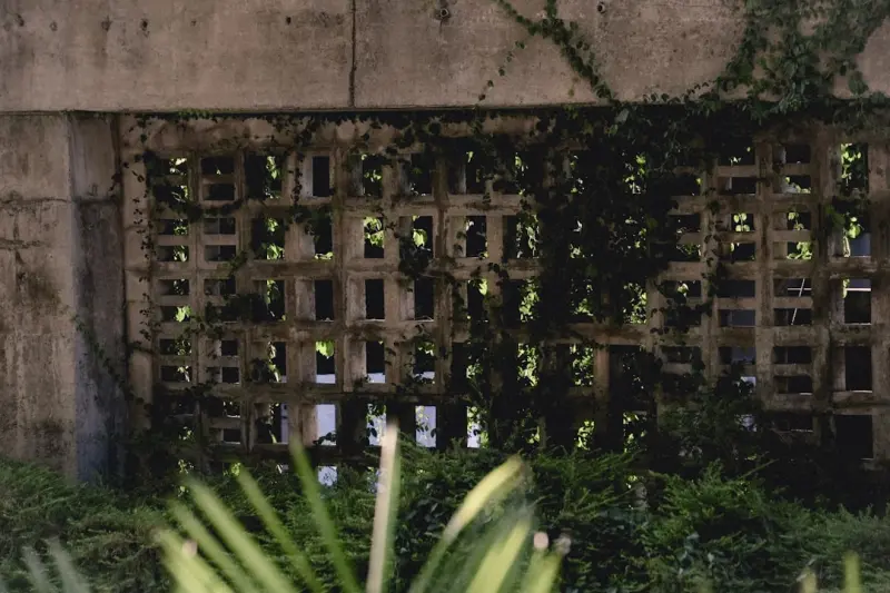 Finding Forest Calm in the Concrete Jungle: A Step‑by‑Step Guide