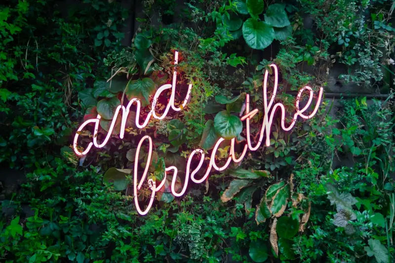 Breathe Easy: Simple Hacks to Boost Home Air Quality
