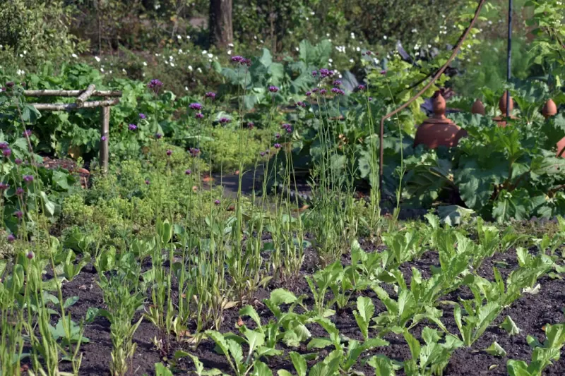 Rediscovering Heirloom Gardens: A Modern Homeowner’s Guide to Reviving Heritage Crops