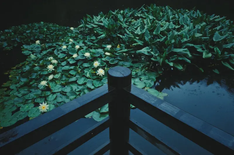 Evening Garden Retreat: Light, Water, and Comfort After Dusk