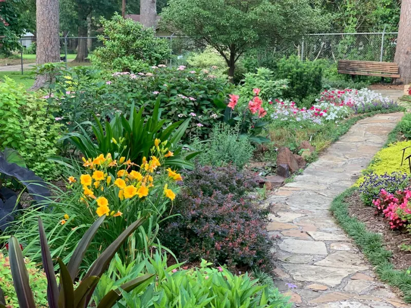 Edible Landscape Design: Turning Your Yard into a Living Table