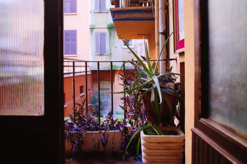 Balcony to Bounty: Turning Small Outdoor Spaces into Year‑Round Food Havens
