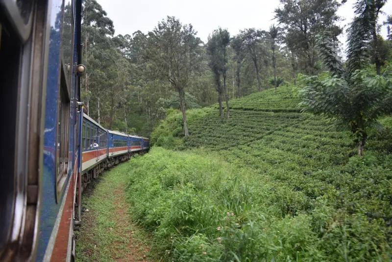 Chasing the Uncharted Railway: A Journey Through Forgotten Tracks
