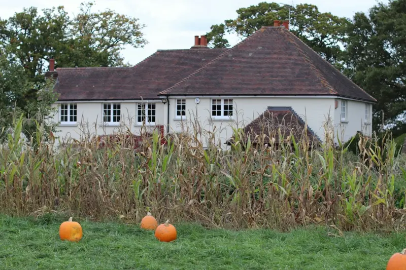Harvest the Yard: Building a Year‑Round Edible Landscape