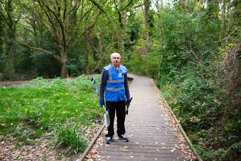 How Sunlight, Breath, and Community Walks Can Rewire Your Health
