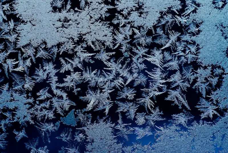 Cold Exposure: Harnessing the Frost to Boost Immunity and Mental Clarity