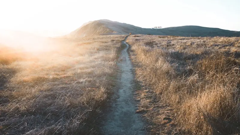 Unplanned Paths: How Serendipity Transforms Travel
