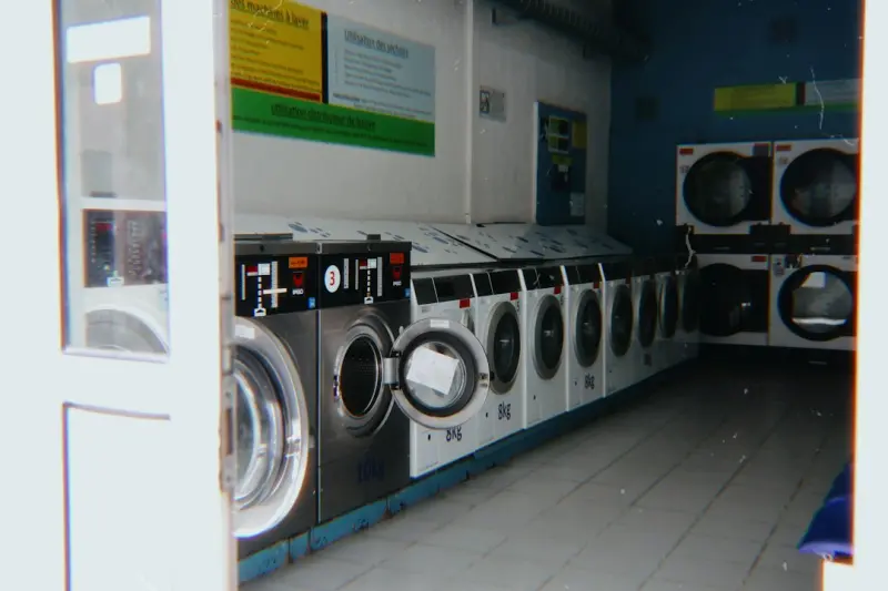 From Laundry to Lush: Turning the Utility Space into a Green Retreat