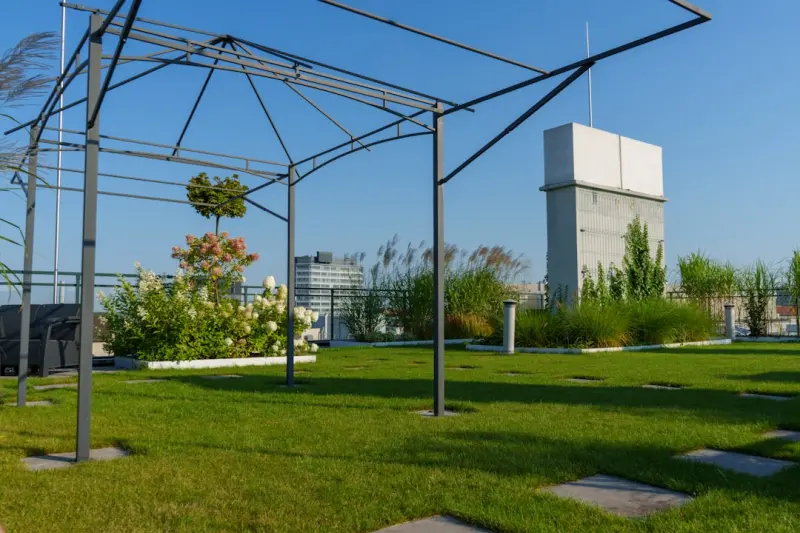 Rooftop Gardens: Turning City Roofs into Lush Retreats