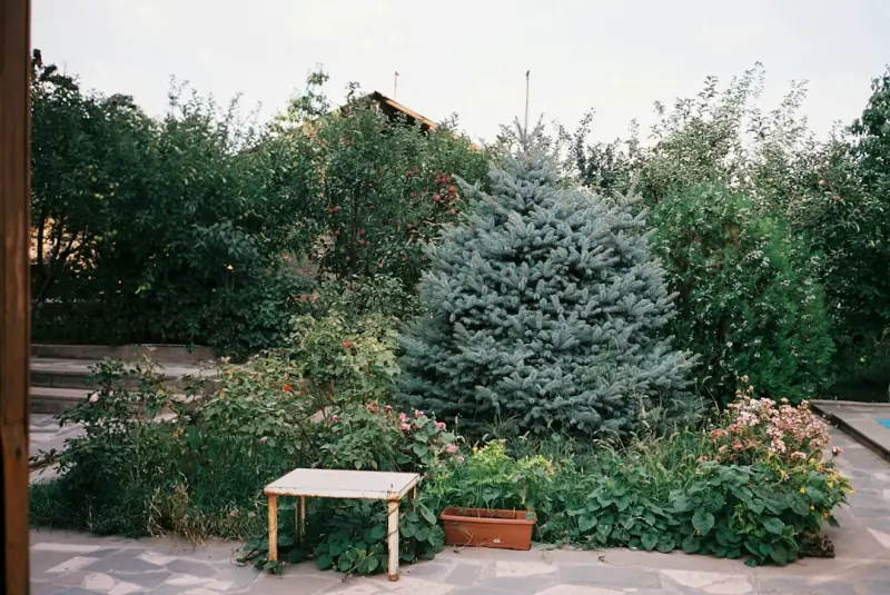 From Soil to Table: Designing an Edible Landscape That Feeds Your Family and the Planet