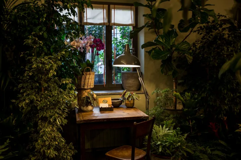 Why My Garden Desk Became My Career Game‑Changer