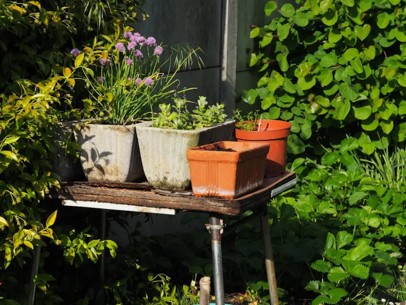 Transforming Everyday Junk into Garden Gems: A Hands‑On Upcycling Guide