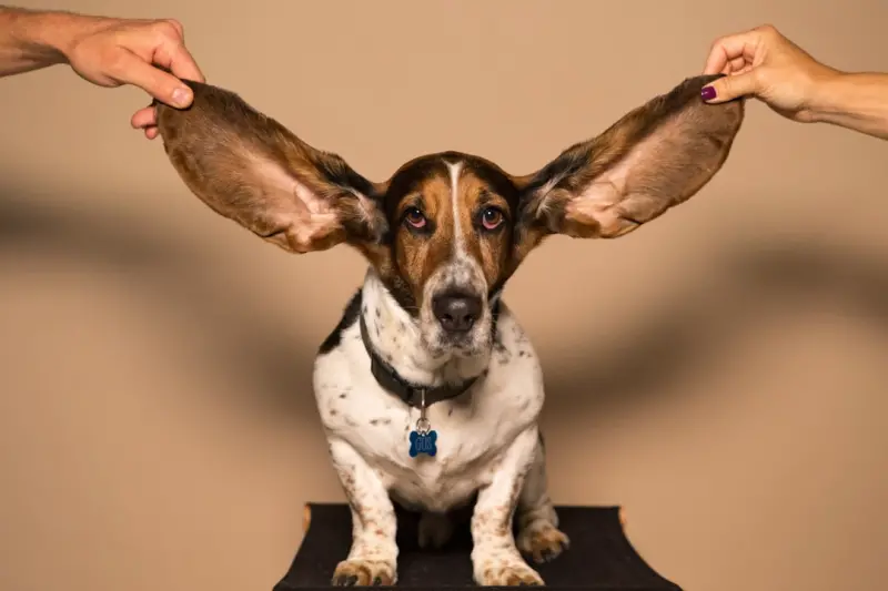 Traveling with Your Ears and Nose: Crafting a Sensory Diary on the Road