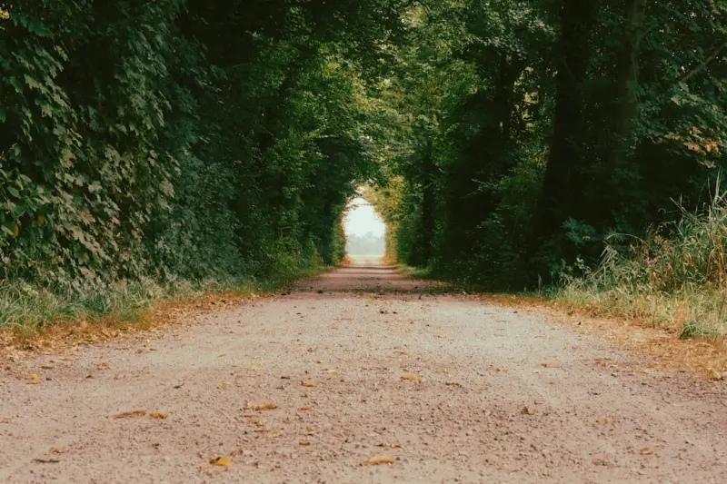 Rewriting Your Inner Story: A Fresh Path to Mental Wellness