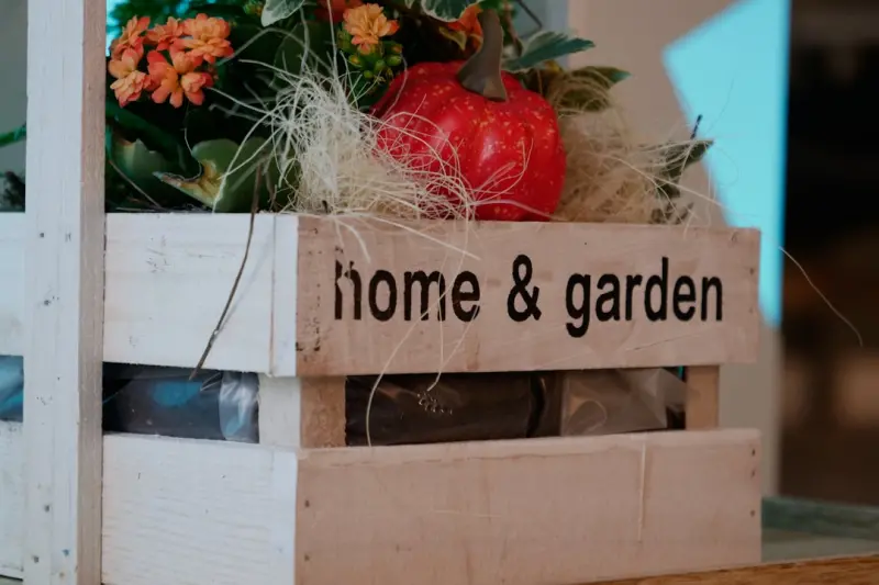 Edible Front Yards: Harvesting Curb Appeal and Kitchen Freshness