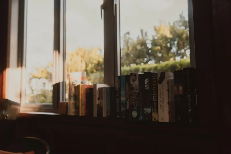 Turning Your Backyard into a Reading Sanctuary: Gardens, Comfort, and Quiet