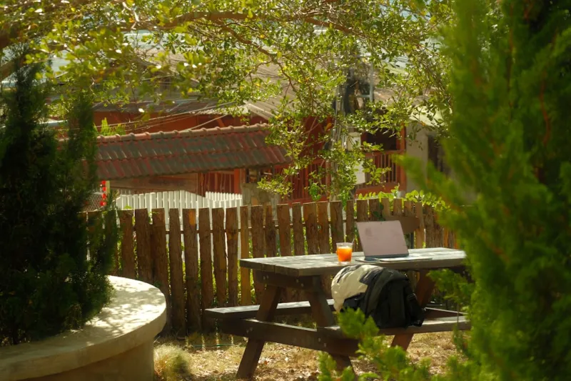 How My Garden Desk Reinvented My Work Life
