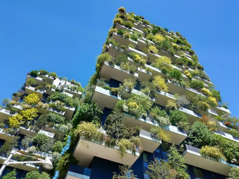 Harvesting Harmony: Building a Vertical Herb Wall in Your Urban Home Harvesting Harmony: Building a Vertical Herb Wall in Your Urban Home