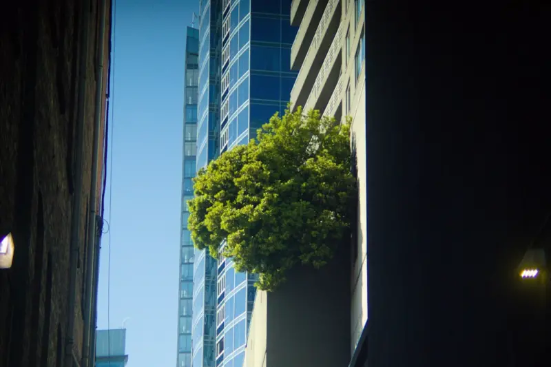 Vertical Gardens for City Living: A Fresh Take on Green Spaces