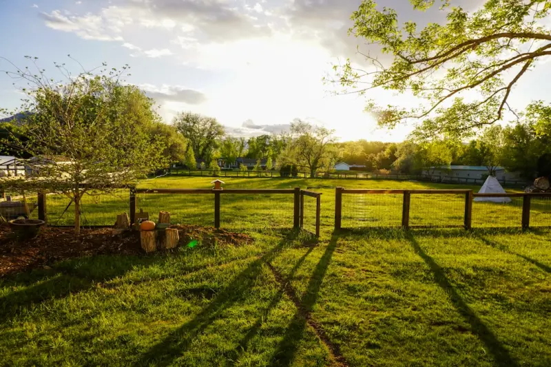 Regenerative Outdoor Spaces: Turning Your Yard into an Ecosystem