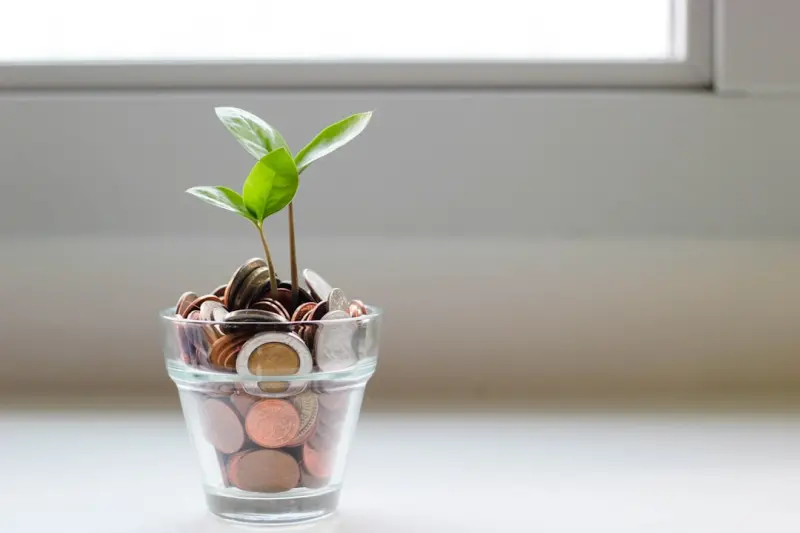 Smart Home Swaps That Save Money and Reduce Waste