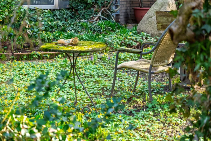 Cultivating a Backyard Office: How a Garden Desk Revives Home Life Cultivating a Backyard Office: How a Garden Desk Revives Home Life