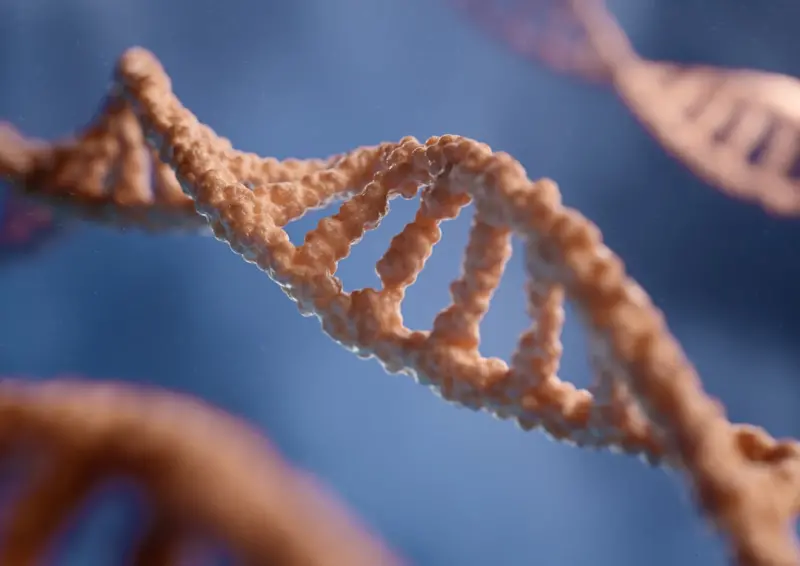 Personalized Nutrition: Decoding Your DNA for a Healthier You