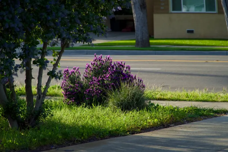 Seasonal Color Planning: A Year‑Round Curb Appeal Blueprint