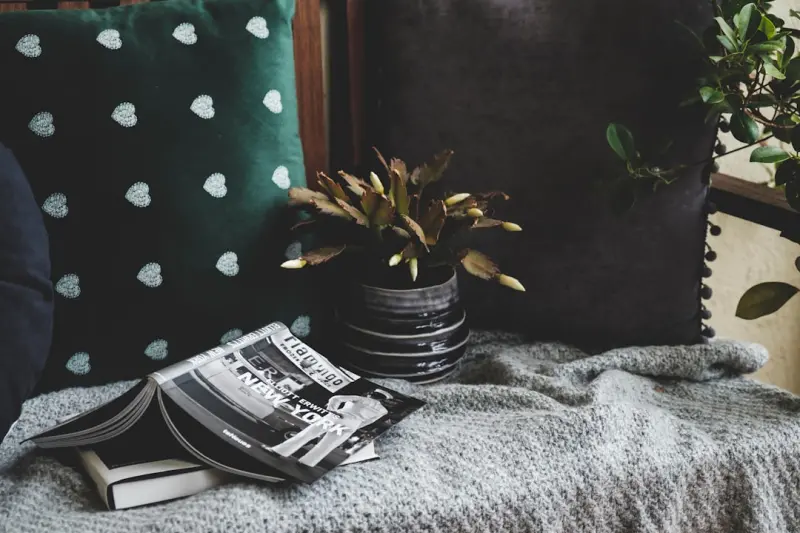 Crafting a Cozy Home Reading Nook That Feels Like a Retreat