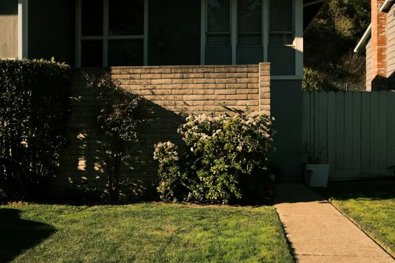 Turn Your Small Yard into a Year‑Round Food Oasis