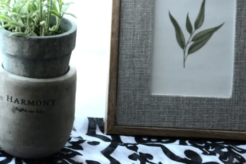 Natural Air Refresh: Simple DIY Strategies for a Healthier Home
