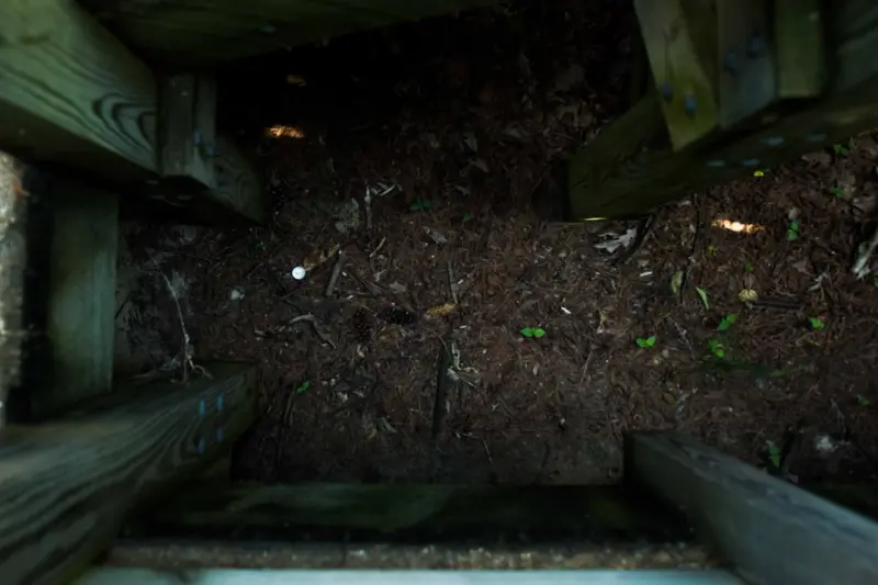 The Rise of the Urban Compost Corner: Turning Kitchen Scraps into Soil Gold