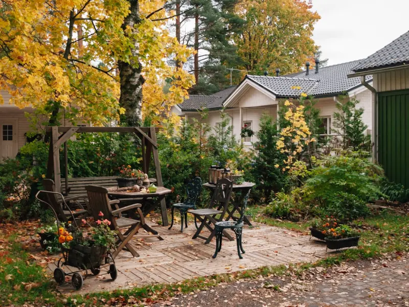Backyard Micro‑Forests: Small Spaces, Big Impact
